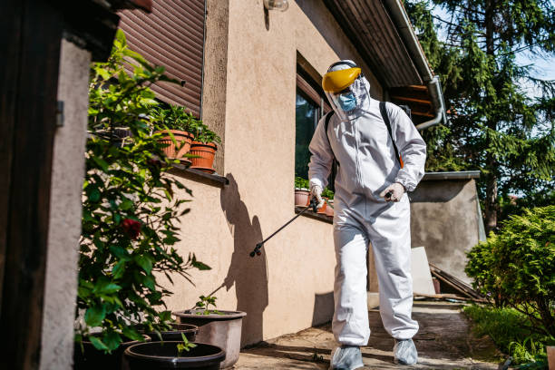 Best Wasp Removal Services  in Oral City, FL