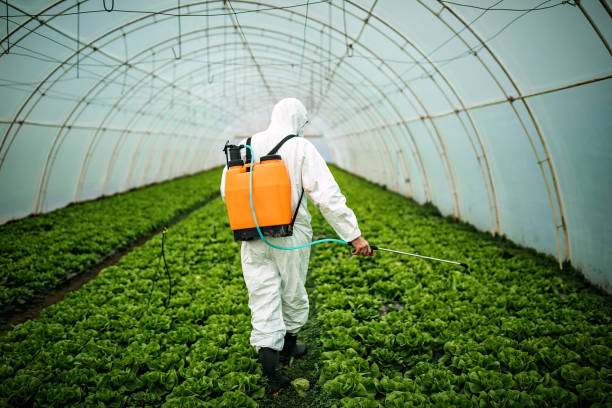 Best Affordable Pest Control Services  in Oral City, FL