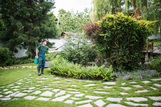 Best Ant Control Services  in Oral City, FL