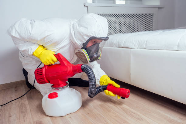 Trusted Floral City, FL Pest Control Experts