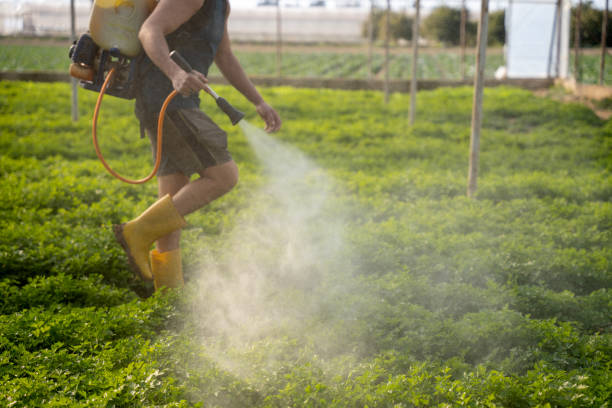 Best Commercial Pest Control Services  in Oral City, FL