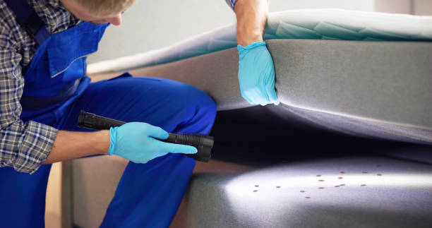 Best Local Pest Control Services  in Oral City, FL