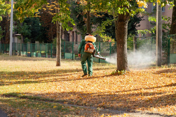 Flea Control Services in Floral City, FL