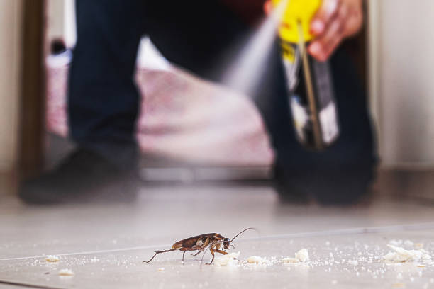 Best Pest Removal Services  in Oral City, FL
