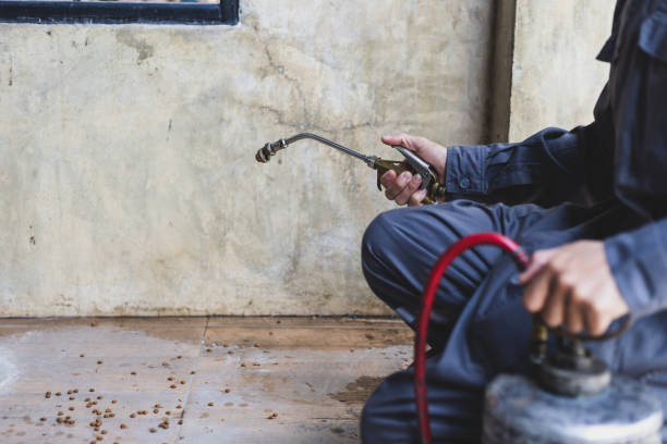 Best Affordable Pest Control Services  in Oral City, FL