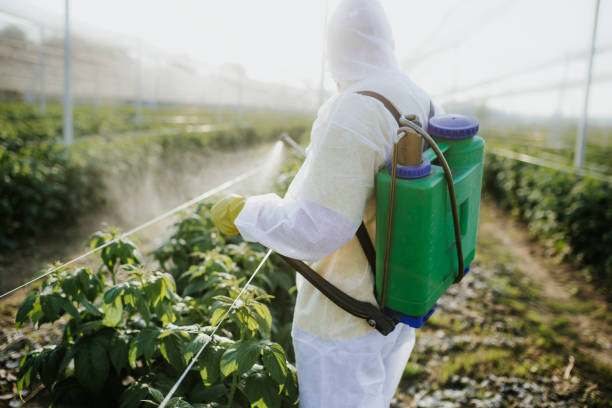 Best Ant Control Services  in Oral City, FL